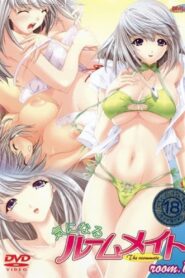 Kininaru Roommate – The Roommate – Temporada 1 – Sub Español – Online